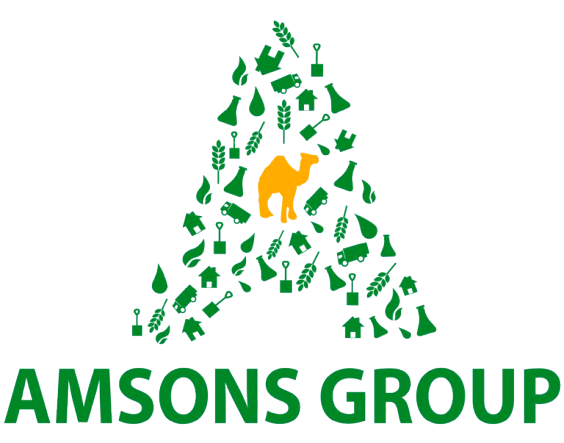 AMSONS GROUP